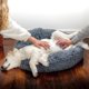 thumbnail image 3 of Super Soft Plush Pet Bed - Comfortable Sleeping Bed for Dogs and Cats ShopWise Round, 3 of 8