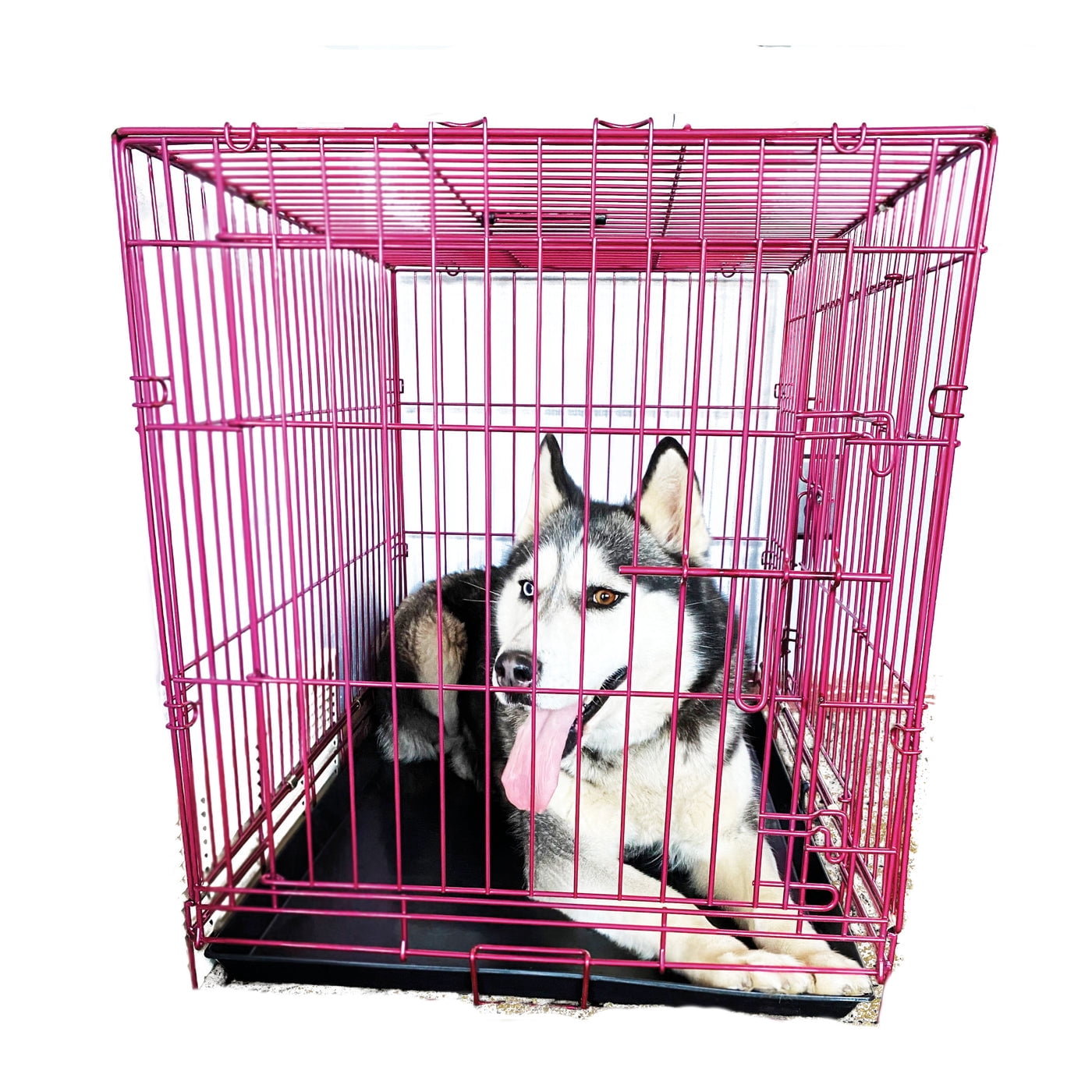 Pet Expressions 48 Inch Pink Colored Metal Wire Dog Crate - Available in Various Sizes and Colors