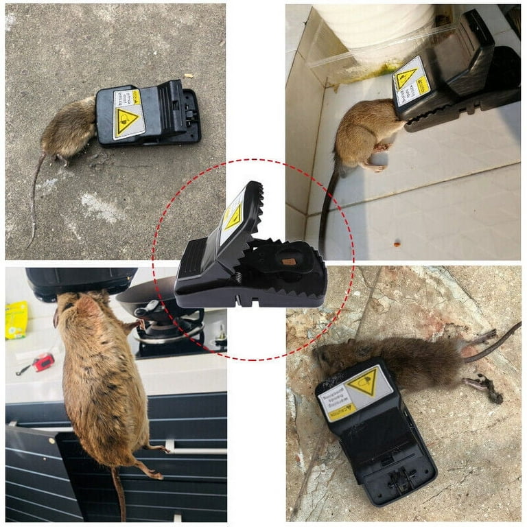 6 Pack Reusable Mouse Traps Rat Trap Rodent Snap Trap Mice Trap Catcher Killer