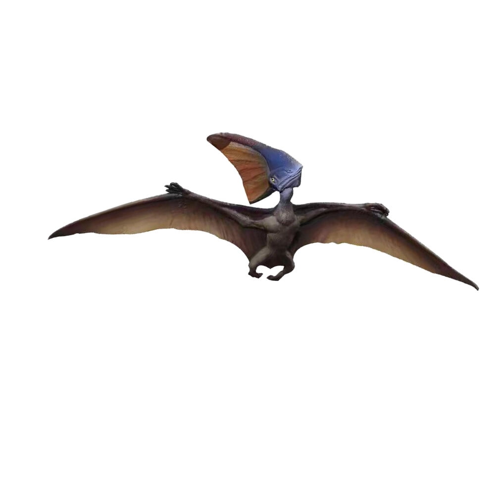 Dinosaur model 1pc Pterosaur Model Archaeopteryx Solid Dinosaur Model