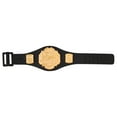 thumbnail image 4 of Set of 12 TNA Jakks Action Figure Championship Belts, 4 of 5