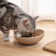 thumbnail image 2 of Rdausd 5.98" Silicone Pet Bowl with Suction Cup, Non-Slip Dog Cat Feeding Bowl, Food Grade Water Bowl for Small Medium Pets, BPA-Free Durable Pet Bowl, Brown, 2 of 3