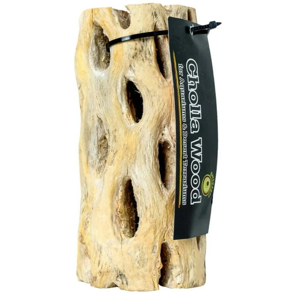 Galapagos Cactus Skeleton Cholla Wood, Brown, 1 Each/12 in