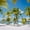 Aruba Beach Palms, variant on Elephant Stock Footbridge At The Beach Wall Art - Horizontal Canvas Wall Art - Living Room Wall Decor - Beach Canvas - Blue And Beige Decor - 12" x 8"