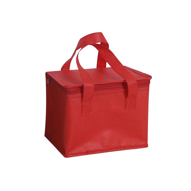 Estuche de Almuerzo Aislado Sunnimix Bolsa Térmica Portátil para Acampar Contenedor de Alimentos Plegable 8in 29cmx29cmx22cm