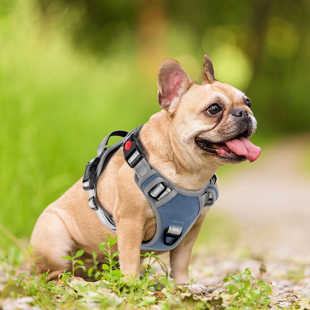 Reflective Dog Harness No Pull Dog Vest Harness With Handle, Breathable Padded Dog Chest Harness Adjustable for Small Medium Large Dog