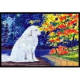 thumbnail image 1 of Carolines Treasures SS8240JMAT Paillasson Intérieur Ou Extérieur 24 x 36 Po Great Pyrenees, 1 of 4