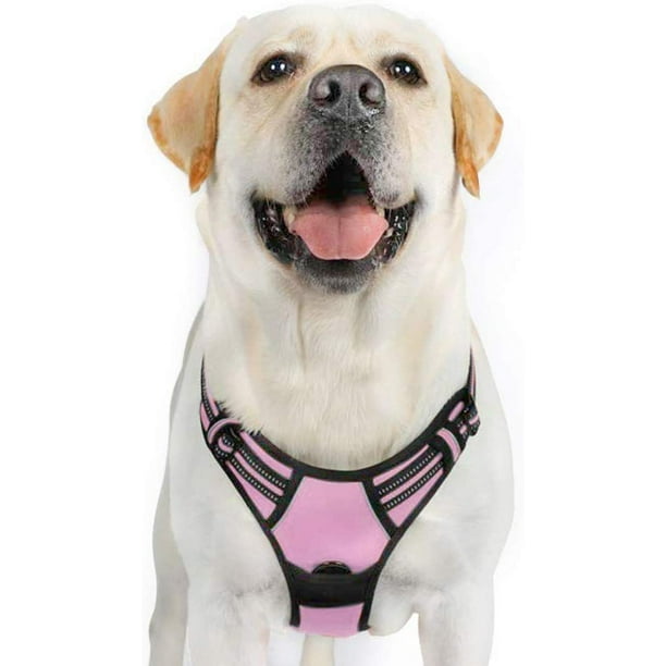 rabbitgoo Dog Harness, NoPull Pet Harness with 2 Leash Clips