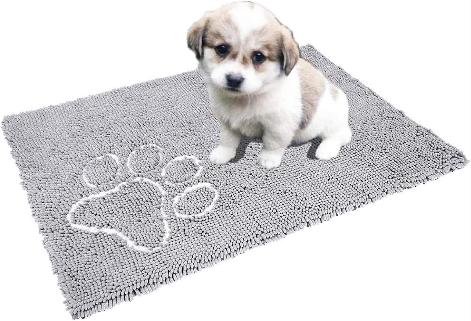Microfiber Door Mat Chenille Mud Absorbent Dog Area Rugs Machine