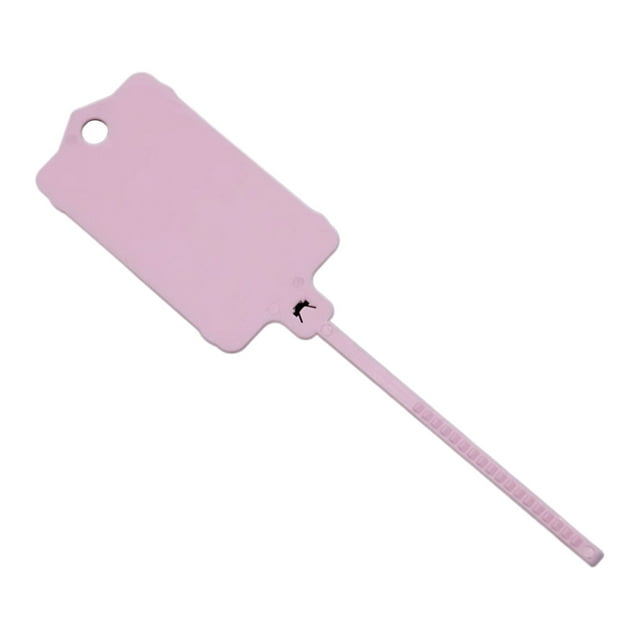 Advancent Etiquetas para llaves de 100 piezas con correas de plástico flexibles y duraderas de tensión dentada para etiquetado seguro Almacenamiento y organización del hogar Rosa