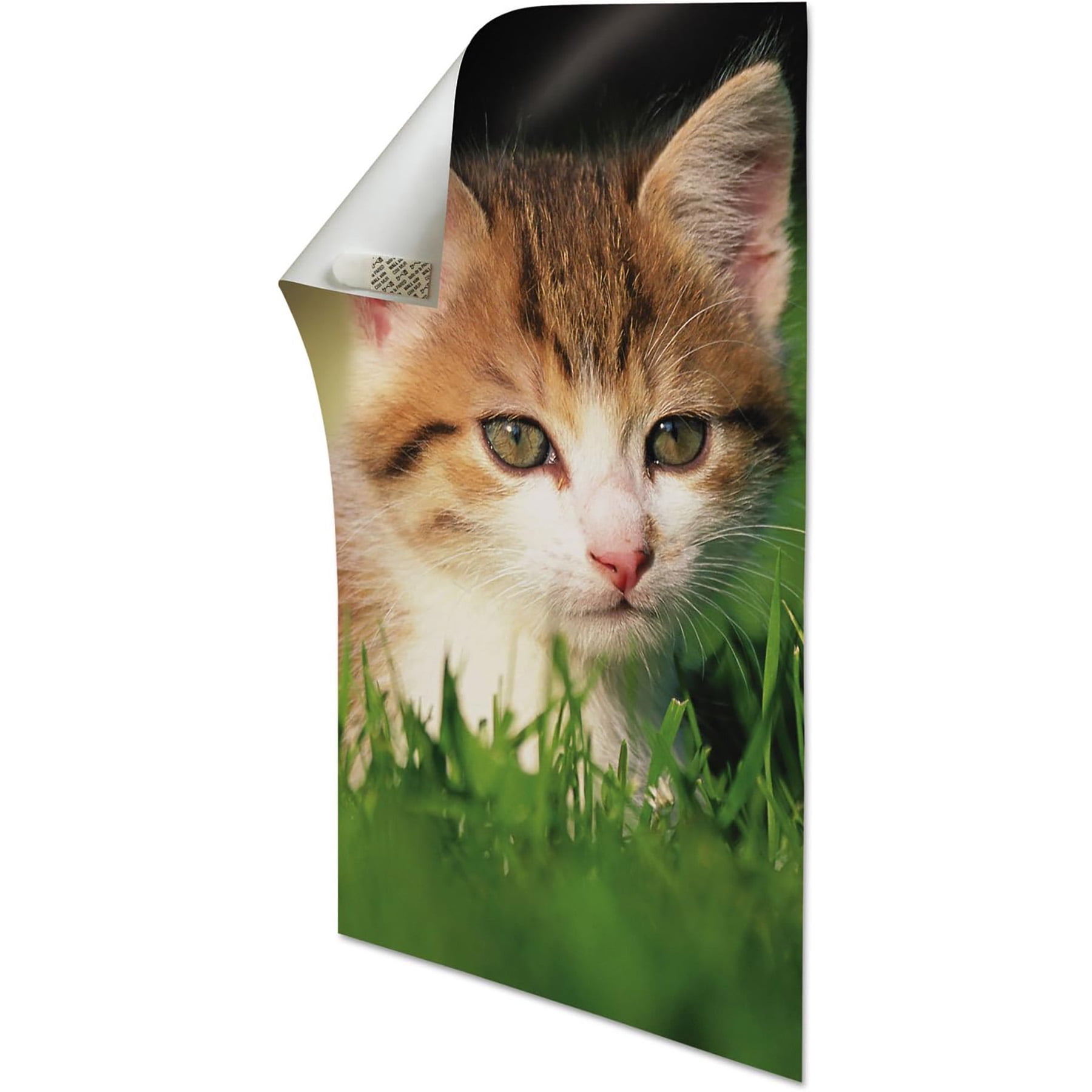 3M Removable Poster Strips, 12 Strips Per Pack, 6 Packs