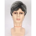 thumbnail image 2 of Peluca de pelo corto y rizado para hombre, tocado de seda de alta temperatura, red rosa, color gris abuelita, 2 of 4