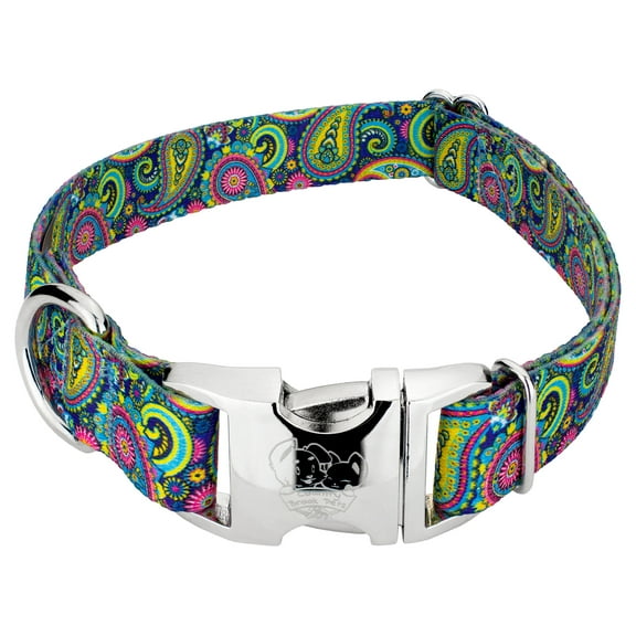Country Brook Petz® Premium Bright Paisley Dog Collar, Extra Large