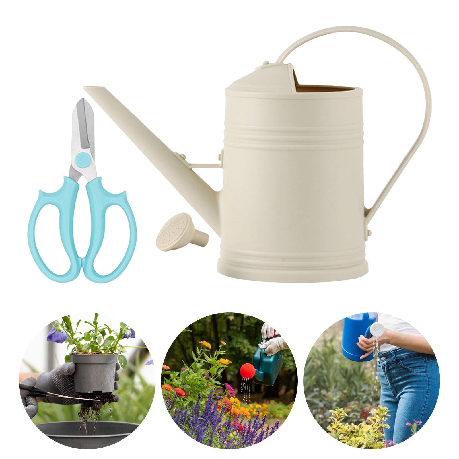 koolsoo 2L Garden Watering Can Watering Pot Removable Nozzle Watering Bottle Sturdy Gardening Tool for Watering Plants Garden Flowers beige