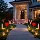thumbnail image 4 of Luces solares clásicas para el Día de San Valentín, decoración para jardín y patio | Elementos LED navideños con energía solar | Decoración impermeable para patio y jardín, 4 of 7
