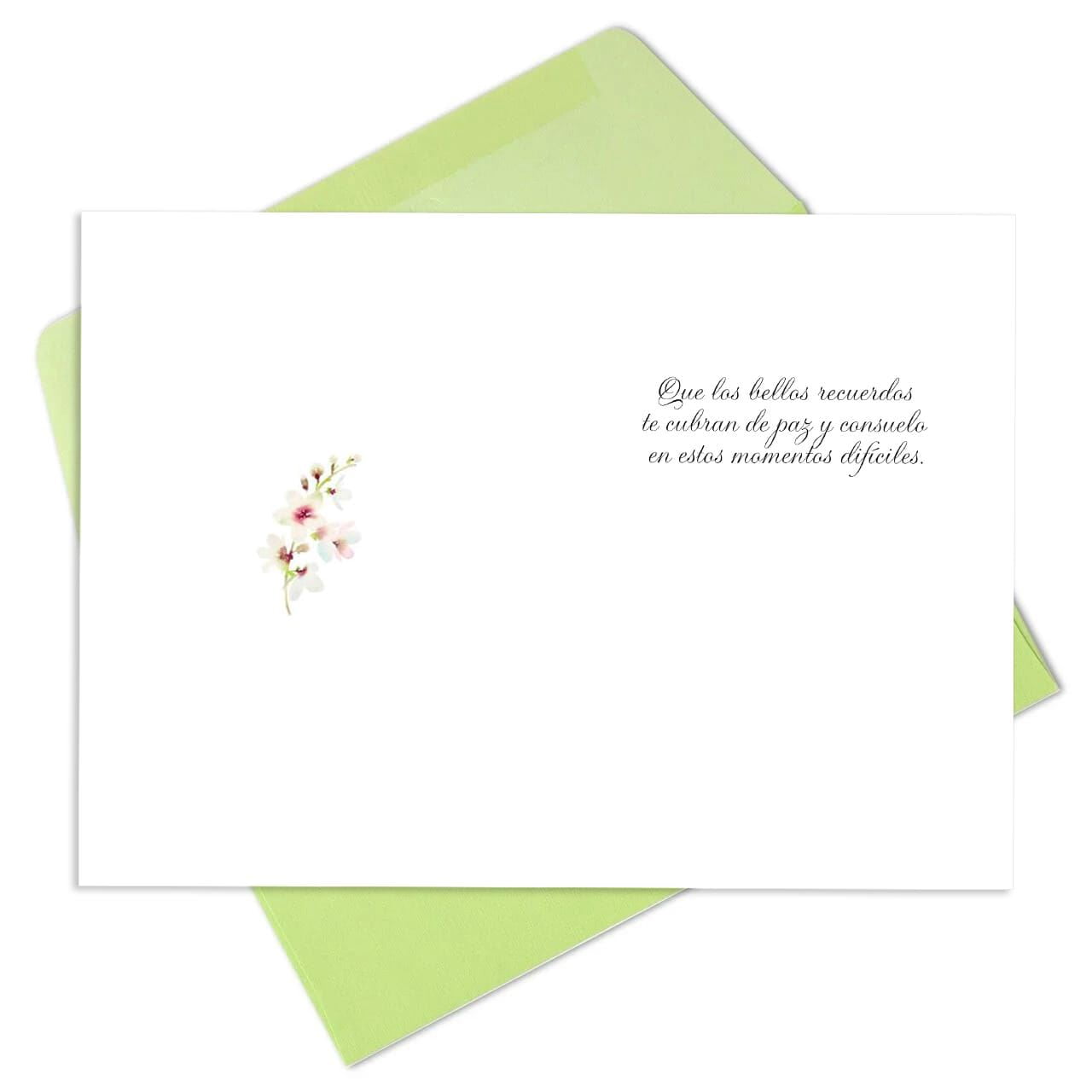 Hallmark Business Bulk Spanish Sympathy Cards (Flowers and Bird), 25 ct.