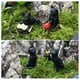thumbnail image 4 of Juego de gato negro luminoso para decoración de Halloween, 6 piezas de figuras de gato de resina para decoración de jardín y patio, 4 of 5