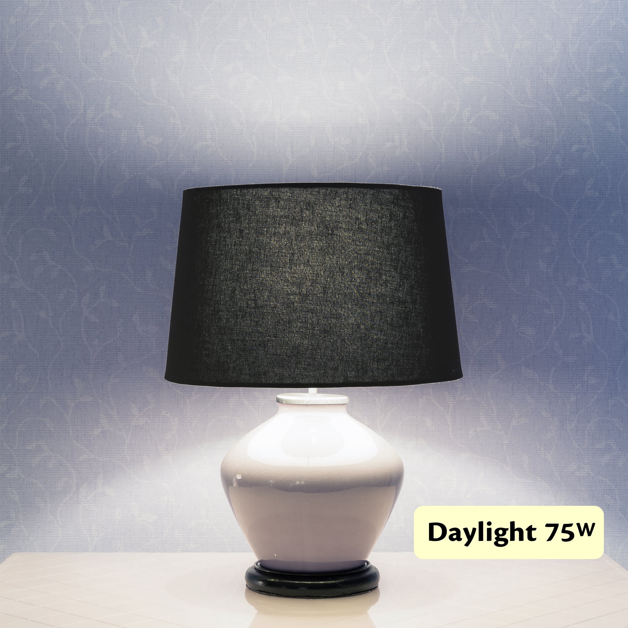 CLEANRTH FLYLIGHT™ | 75-watt DAYLIGHT LED Light Bulb that Vacuums & Traps Flying Bugs to Create Insect Fly Control