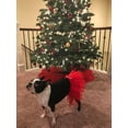 thumbnail image 3 of Red Easter Holiday Dog Tutu Skirt | XS-XXXL, 3 of 6