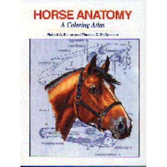 Pre-Owned Horse Anatomy : A Coloring Atlas (Paperback) 1577790170 9781577790174
