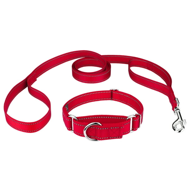 Country Brook Petz® 1 Inch Red Reflective Nylon Martingale Dog Collar 