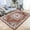 Brown, variant on KOOL HOME Traditional Area Rug Blue Premier Collection Indoor Medallion Rectangular Area Rug Cozy Comfortable Classic Colors Rugs for Bedroom, Living Room, Floor Covering (CO203FB)