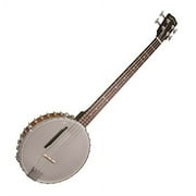 Gold Tone 4-String Banjo Bass w/ Gig Bag