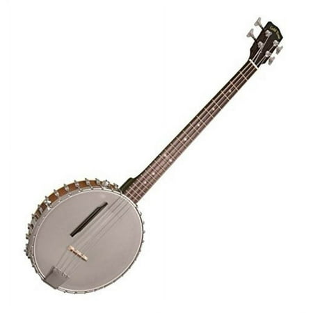 Gold Tone 4-String Banjo Bass w/ Gig Bag