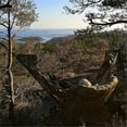 thumbnail image 3 of Hamac de Camping - Hamac Portable Accessoires de Camping pour Extérieur, 3 of 4