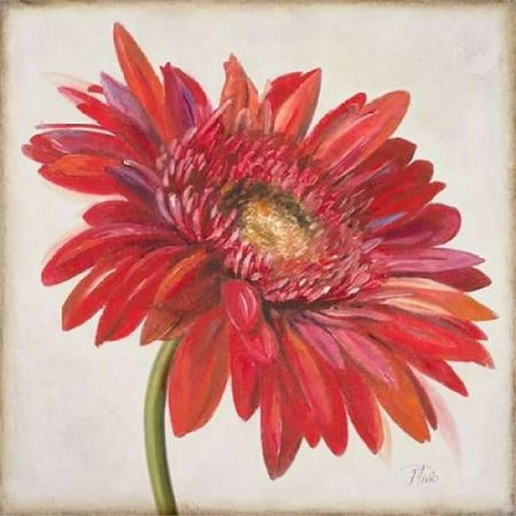 Red Gerber Daisy Poster Print by Patricia Pinto