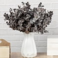 thumbnail image 5 of Dark Gray Artificial Eucalyptus Stems, Real‑Touch Faux Eucalyptus Branches, 14.96 Inch Fake Eucalyptus Greenery Picks, Rustic Vase Filler for Modern Home Table Arrangement, 5 of 6