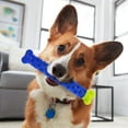 thumbnail image 5 of Bulbhead Chewbrush Blue Dog Self Brushing Toothbrush, 5 of 6