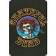 thumbnail image 1 of Placa Metal Vintage Grateful Dead Pintura Hierro Rectangular Pared 20x30 Cm, 1 of 9