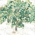 thumbnail image 3 of Vess, June Erica 15x15 Black Modern Framed Museum Art Print Titled - Country Tree II, 3 of 5