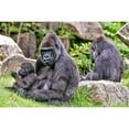 thumbnail image 3 of CafePress - GORILLA AND BABY - Women's Dark Pajamas, 3 of 4