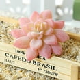 thumbnail image 4 of Artificial Succulents Realistic Textured Fake Succulents Unpotted Artificial Cactus Plant Suitable for Garden Home Office Greening and Decoration, 4 of 8