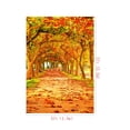 thumbnail image 3 of BSDHOME Polyester Autumn Falls Photo Background Maple Road Photocall Oil Painting Backdrop for Studio Photography 5x7ft, 3 of 4