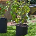 thumbnail image 5 of FCMP Outdoor 5 Gallon Modern Non Woven Breathable Grow Bags, Black (5 Pack), 5 of 12