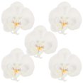 thumbnail image 4 of 5pcs Artificial Silk Phalaenopsis Flower Heads – Fake Butterfly Orchid for DIY Crafts, Hair Decoration, Wedding & Party Accessories – Fade Resistant, 4 of 4