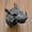 Black, variant on Wild Boar Head Ring Animal Men Jewelry Punk Plated 316L Stainless Steel Fashion-Silver-9