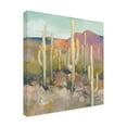 thumbnail image 2 of Julia Purinton 'High Desert I' Outdoor Canvas 14x16, 2 of 5