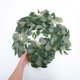 thumbnail image 5 of unbranded Guirnalda De Hojas Artificiales Para De Y Pared, 5 of 7