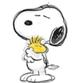 thumbnail image 2 of Anagram Peanuts 4th Birthday Party Supplies Snoopy and Friends 7pc Balloon Bouquet Decorations, 2 of 7