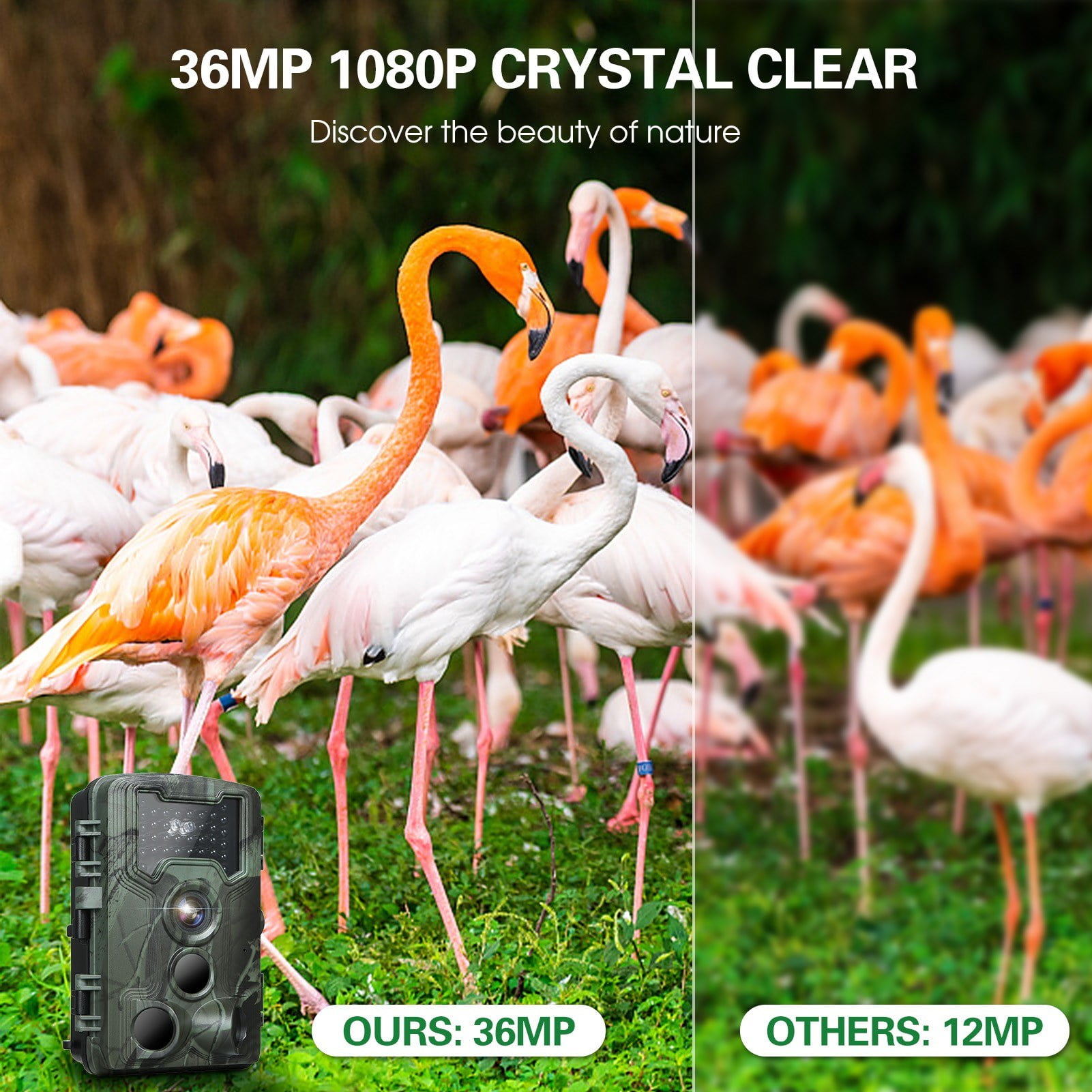 36MP 1080P Night Vision Waterproof Infrared Game Camera