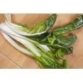 thumbnail image 3 of Fordhook Giant Swiss Chard Seeds, 3 of 5