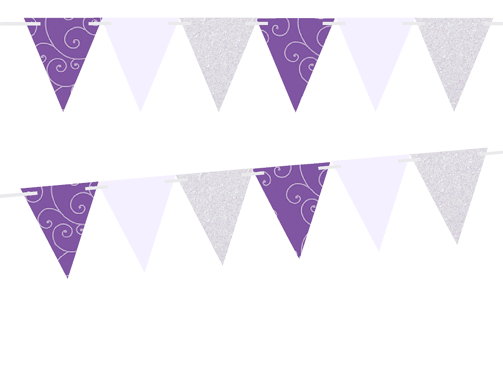 Vintage Rustic Style Bunting Purple & Silver Wedding Order Of The Day Cards 