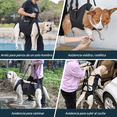 thumbnail image 2 of Andadera Para Perro - Rehabilitación Postoperatoria Talla M Xtellar negro, 2 of 4