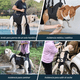 thumbnail image 2 of Andadera Para Perro - Rehabilitación Postoperatoria Talla Xl Xtellar negro, 2 of 4