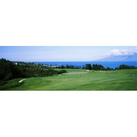Golf course at the oceanside Kapalua Golf course Maui Hawaii USA Canvas Art - Panoramic Images (36 x