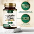 thumbnail image 3 of Magnesium Glycinate 2000mg Per Serving - Chelated Magnesium Supplement for High Absorption Supplement - Muscle & Heart Health Support - Easy on Stomach Non-GMO Vegan, USA Bottled - 240 Capsules, 3 of 9